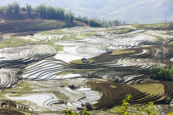 Rizières dans le nord du Vietnam — Photo