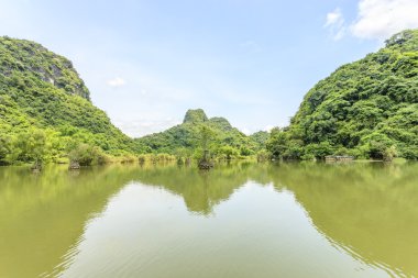 Pirinç tarlaları Kuzey Vietnam