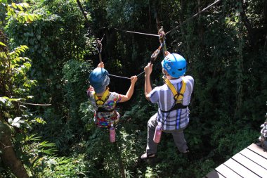 Ormandaki Zipline Chiangmai oynayanlar