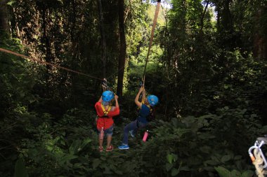 Ormandaki Zipline Chiangmai oynayanlar