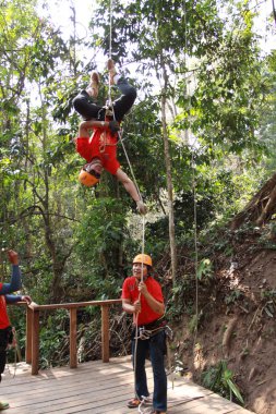 Ormandaki Zipline Chiangmai oynayanlar