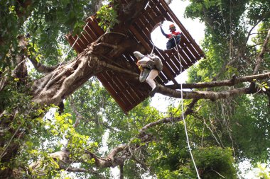 Ormandaki Zipline Chiangmai oynayanlar