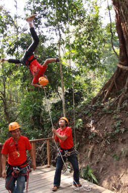 Ormandaki Zipline Chiangmai oynayanlar