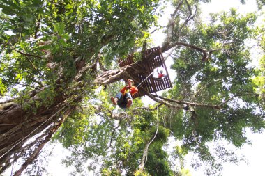 Ormandaki Zipline Chiangmai oynayanlar