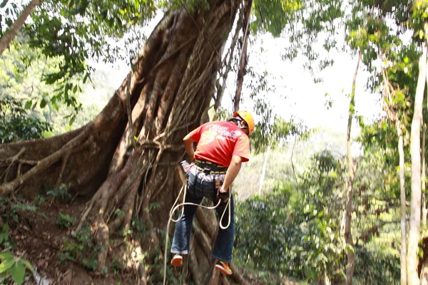 La gente jugando tirolina en el bosque en Chiangmai — Foto de Stock