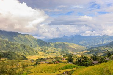 Kuzey Vietnam, pirinç tarlaları