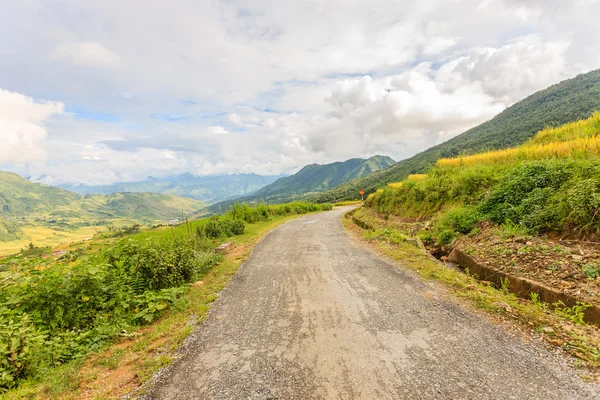 Risfälten på Nordvietnam — Stockfoto