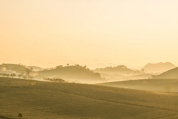 Vallée dans la brume le matin, Vietnam — Photo