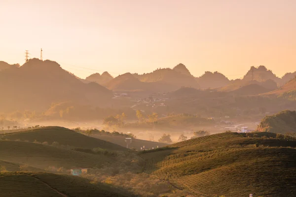 Valle en la niebla en la mañana, Vietnam — Foto de Stock