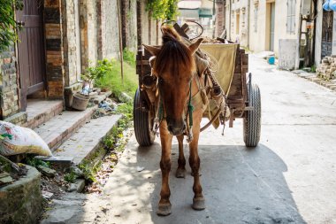 A horse and carriage awaits passengers in the Hanoi Vietnam