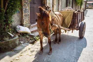 A horse and carriage awaits passengers in the Hanoi Vietnam