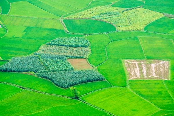 Moc chau stad en Pha luong berg — Stockfoto