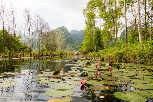 Lotos kwiaty w Hanoi, Wietnam — Zdjęcie stockowe