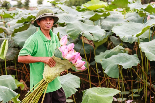 Lotusblommor i Hanoi, Vietnam — Stockfoto