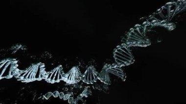 3D 360 DNA deoksiribonükleik asit yapısı. Tıbbi panoramik arkaplan.