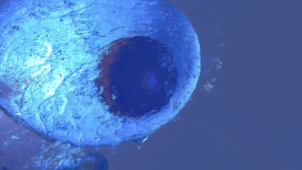 Цикл Анимации Медицинский Панорамный Фон Рендеринг Клеточной Биологии Имеет Дело — стоковое видео