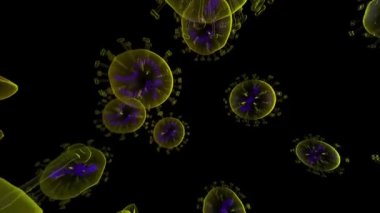 3D mikroskop virüsü. Bakteriler yaklaşıyor. Canlandırma döngüsü 1 dakika. Tıbbi panoramik arkaplan.
