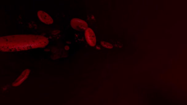 Renderização Eritrócitos Glóbulos Vermelhos Loop Animação Min Fundo Panorâmico Médico — Vídeo de Stock