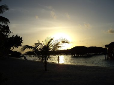 Maldivler akşamları