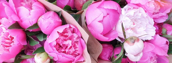 Belles Fleurs Roses Gros Plan — Photo