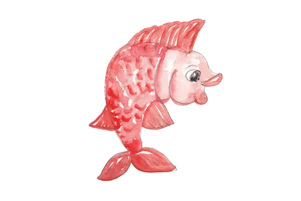 Röd vacker fisk — Stockfoto
