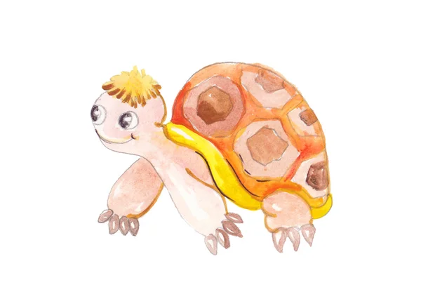 Akvarell färgglad sköldpadda — Stockfoto