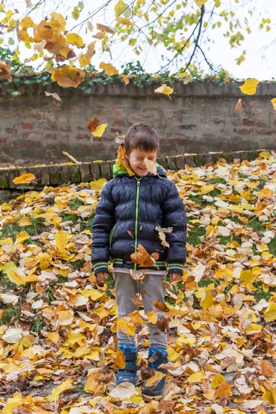 Happy child throws up yellow autumn leaves in the forest. Happy child boy laughing and playing in the autumn day