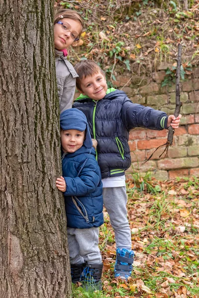 Siostra Dwóch Braci Stoi Obok Drzewa Dzieci Bawią Się Jesienny — Zdjęcie stockowe