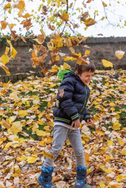 Mutlu çocuk ormana sarı sonbahar yaprakları kusar. Mutlu çocuk sonbahar günü gülüyor ve oynuyor.