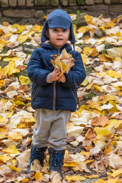 Happy child throws up yellow autumn leaves in the forest. Happy child boy laughing and playing in the autumn day