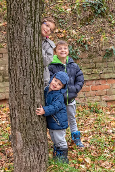 자매와 형제가 있습니다 가을에 아이들 — 스톡 사진