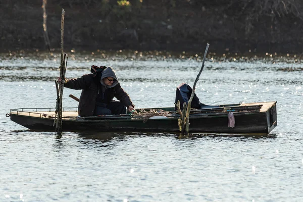 Novi Sad Serbia Noviembre 2020 Isla Del Danubio Odro Cerca —  Fotos de Stock