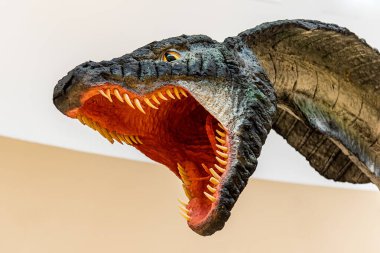 Novi Sad, Sırbistan - 13 Kasım 2020: Novi Sad 'daki BIG alışveriş merkezinde Ejderhalar Sergisi. Ejder Yılan Herpetisi. 