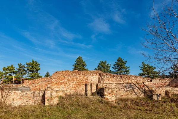 Fruska Gora セルビア 2020年12月6日 セルビアの考古学遺跡グラディナ このローマ時代の別荘の遺跡は1600年前のものです — ストック写真