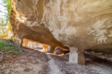 Beyaz taş ocağı (Beli majdan on Sırp), Sırbistan 'ın Fruska gora dağında terk edilmiş eski bir madendir. Terk Edilmiş Taş ocağı