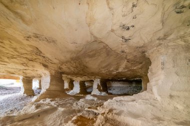 Beyaz taş ocağı (Beli majdan on Sırp), Sırbistan 'ın Fruska gora dağında terk edilmiş eski bir madendir. Terk Edilmiş Taş ocağı