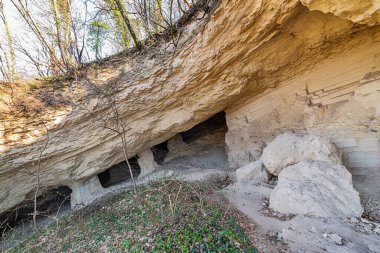 Beyaz taş ocağı (Beli majdan on Sırp), Sırbistan 'ın Fruska gora dağında terk edilmiş eski bir madendir. Terk Edilmiş Taş ocağı