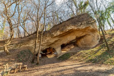Beyaz taş ocağı (Beli majdan on Sırp), Sırbistan 'ın Fruska gora dağında terk edilmiş eski bir madendir. Terk Edilmiş Taş ocağı