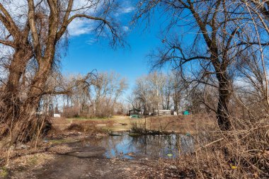 Sırbistan 'ın Novi Sad kenti yakınlarındaki Tuna adası (odro). Sırbistan 'ın Novi Sad kenti yakınlarında Kamenika Ada.  