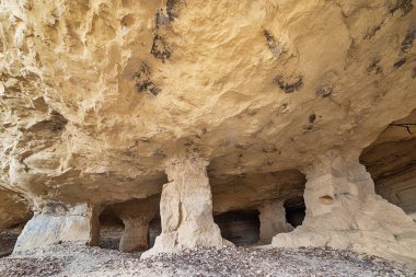 Beyaz taş ocağı (Beli majdan on Sırp), Sırbistan 'ın Fruska gora dağında terk edilmiş eski bir madendir. Terk Edilmiş Taş ocağı