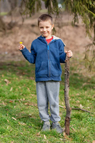 A boy runs in nature with a wooden stick. Little boy play with stick in forest