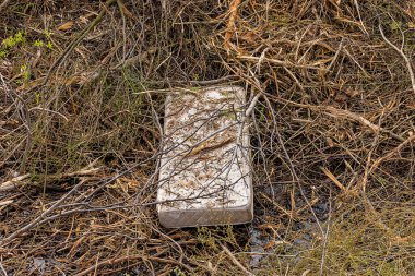 Güzel Doğaya Terk Edilmiş Yatak. Bir alanın kenarında vahşi bir deşarj.