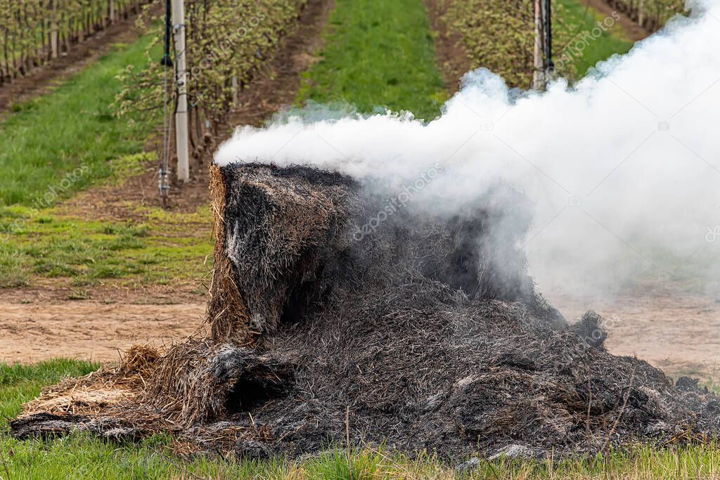 Burning hay bales. Smoking orchards with hay