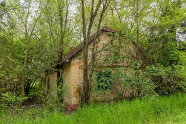 Eski Sırp geleneksel evi. Sırbistan 'da insanlar tarafından bir zamanlar nasıl yaşadıklarını göstermek için kullanılan terk edilmiş evler, çoğunlukla 20. yüzyılda..