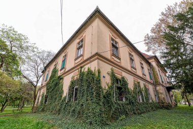 Novi Knezevac, Sırbistan - 01 Mayıs 2021: Novi Knezevac 'taki Servijski ailesinin kalesi. Kale 1793 'te inşa edildi..