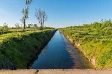 Sırbistan 'da Büyük Tuna-Tisa-Tuna Kanalı