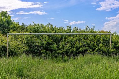 Terk edilmiş futbol sahası. Futbol sahasında çimenler ve kır çiçekleri..