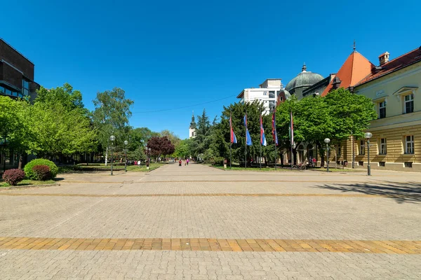 Kikinda Serbia May 2021 Kikinda City Assembly City Hall Kikinda — Stock Photo, Image