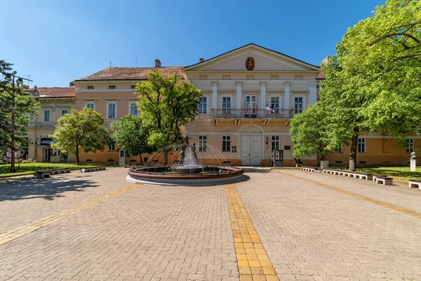 Κικίντα Σερβία Μάιος 2021 Κτίριο Εθνικού Μουσείου Και Όμορφη Κρήνη — Φωτογραφία Αρχείου