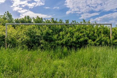 Terk edilmiş futbol sahası. Futbol sahasında çimenler ve kır çiçekleri..